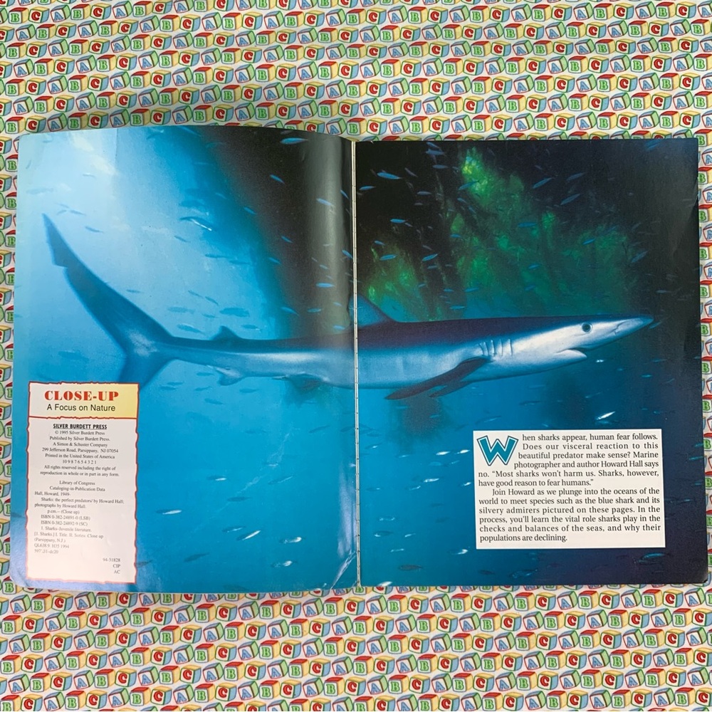 Sharks Learning Book Set for Kids. - Picture 14 of 16